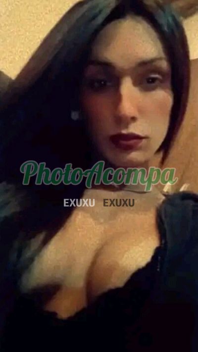 Safada Virtual, travesti em Uberlândia