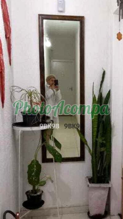Fênix (11) 98524-5888, escort na Zona Oeste (SP)