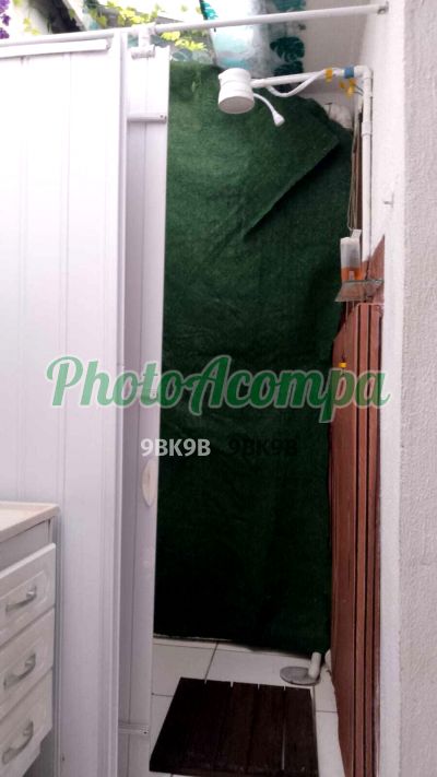 Fênix (11) 98524-5888, escort na Zona Oeste (SP)