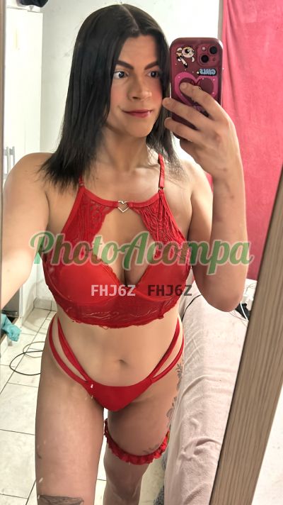Livya Castro (85) 99615-8063, transex em Porto Alegre