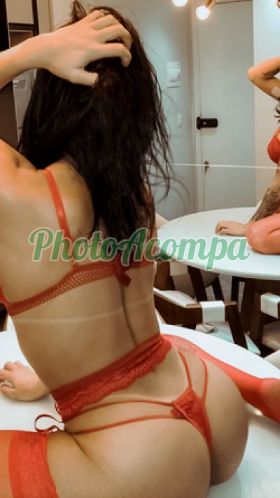 Thaylla, transex em Santo André (ABC Paulista)