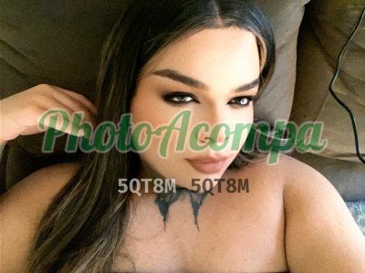 Ángel (19) 99472-1870, transex em Sumaré
