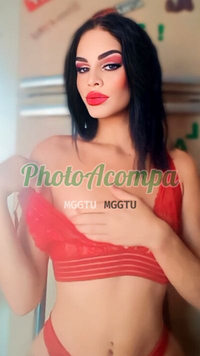 Larrisa, transex em Araraquara