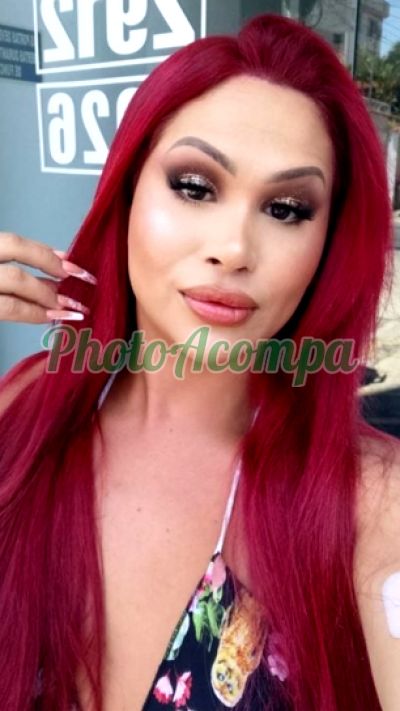 Mel, trans em Araras