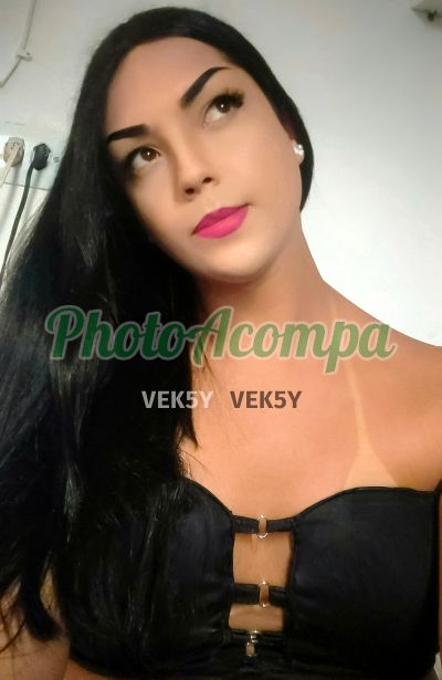 Arielly Heloíse (81) 99677-0401, Travesti em Recife