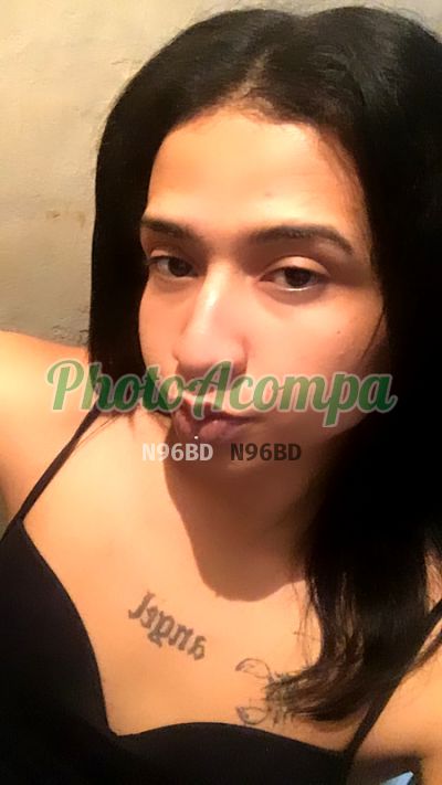Gabriela, transex em Ribeirão Preto