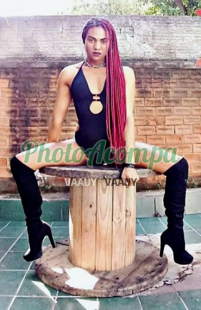 Acompanhante, transex em Amparo
