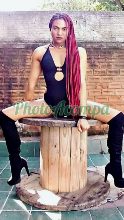 Acompanhante, transex em Amparo