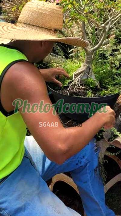 Thedoro Algusto, garoto de programa em Foz do Iguaçu