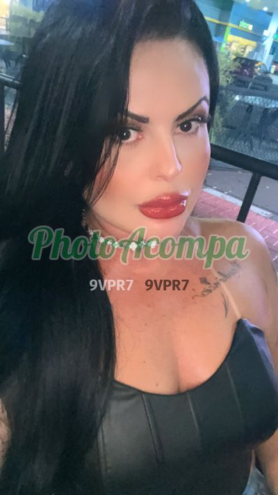 Sofia Araújo, escort em Limeira