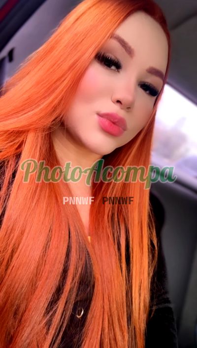 Sofia Schutz (21) 97206-2618, garota de programa em São Bernardo do Campo (ABC Paulista)