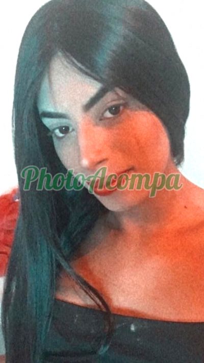 Transex, travesti em Bauru