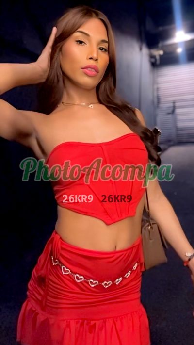 India (11) 91480-6946, transex em Curitiba
