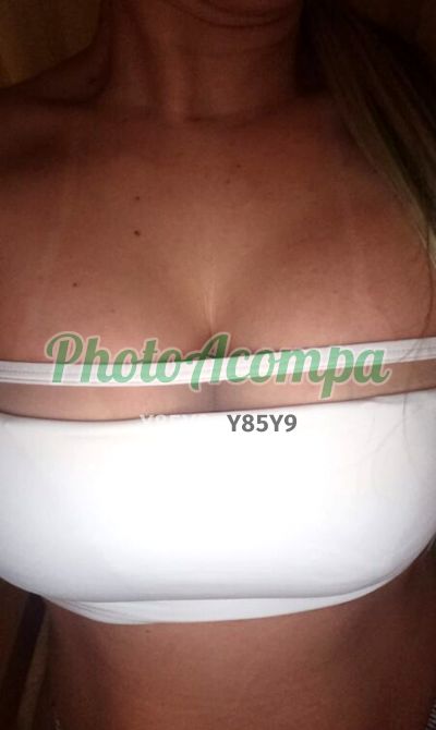 Dani (51) 98196-1713, Mulher que faz massagens eróticas na Zona Norte (POA)