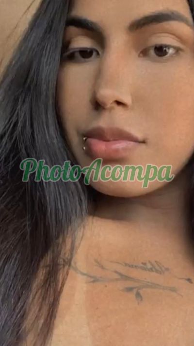 Waylla Coimbra, Travesti em Belém