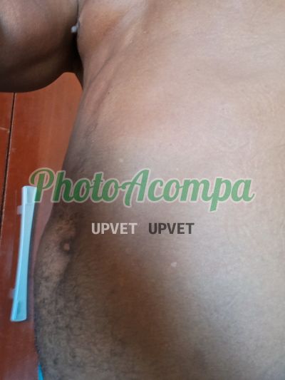 Afonso Valério, garoto de programa em Três Corações