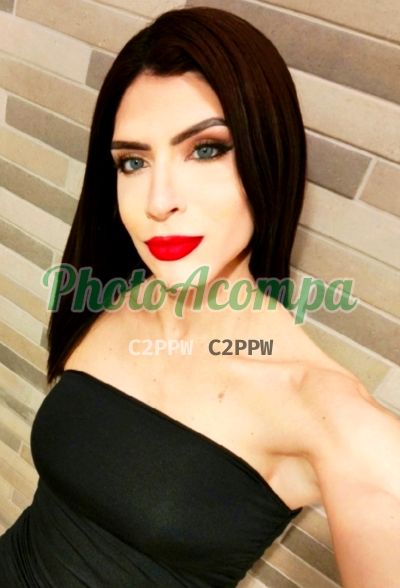 Gisele (11) 97433-3853, trans em Itaquaquecetuba
