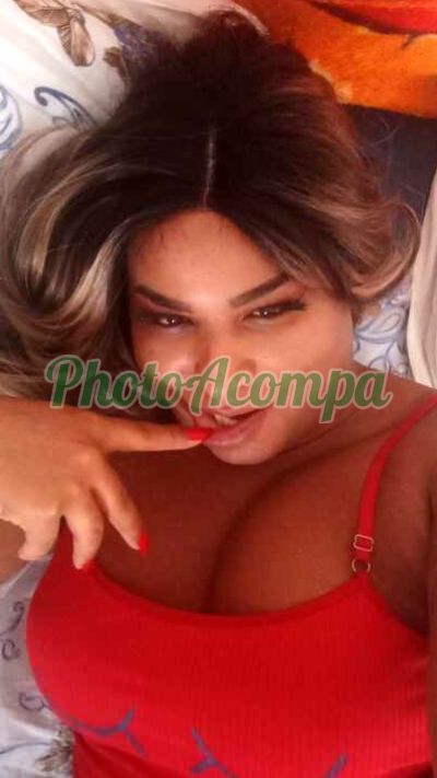 Khloe, transex em Sorocaba