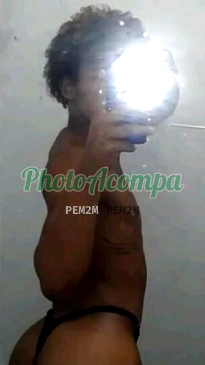 áylla, transex em Paulista
