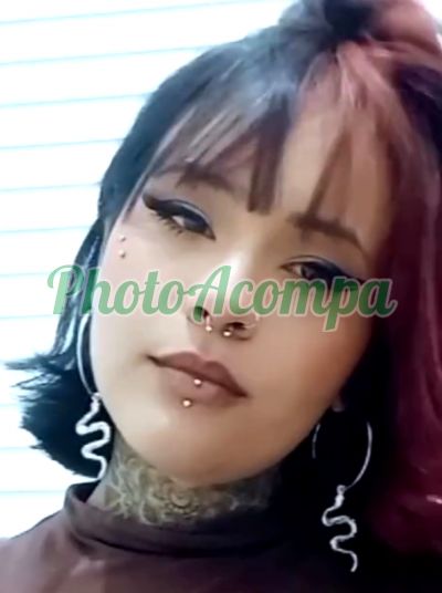 Kitty (11) 91510-7041, Garota de programa em Jundiaí