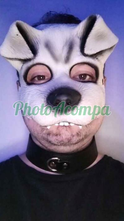 Garoto de Programa, garoto de programa em Porto Alegre