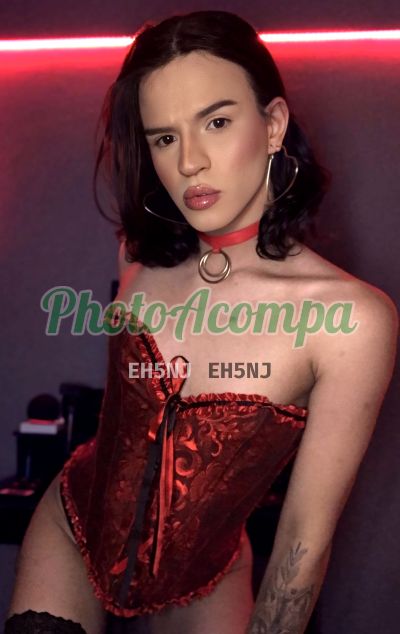 Rayssa Oliveira (11) 99326-3316, transex no Paraíso (SP)