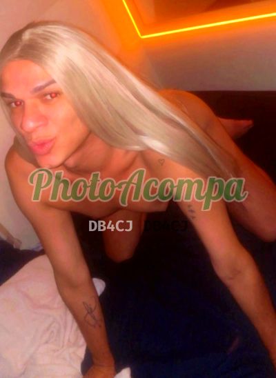 Laylla (11) 91941-3984, transex em Caraguatatuba