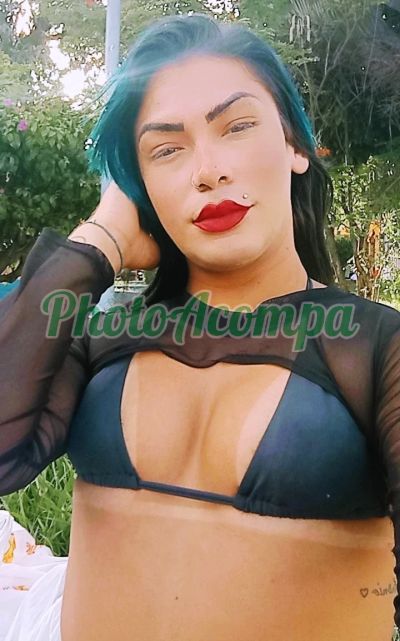 Sthefany (11) 96796-8749, Travesti em Itapevi