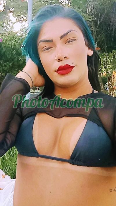 Sthefany (11) 96796-8749, Travesti em Itapevi