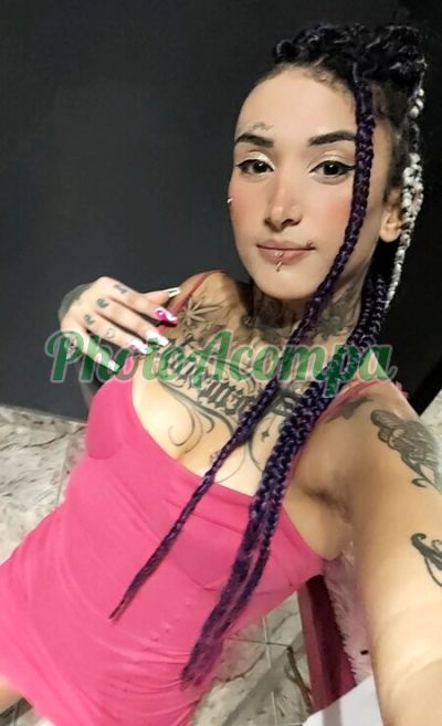 Acompanhante, acompanhante em São Sebastião