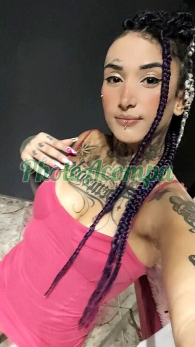 Acompanhante, acompanhante em São Sebastião