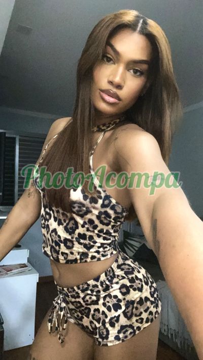 Aysha Gabriela (11) 98570-7782, Trans em Carapicuíba