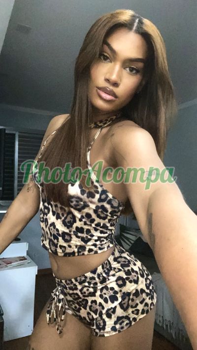 Aysha Gabriela (11) 98570-7782, Trans em Carapicuíba