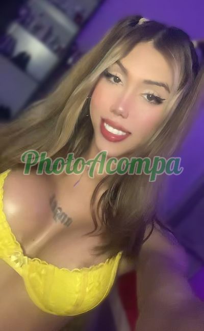 Sofia Vasconcellos (11) 92039-2059, Trans em Piracicaba