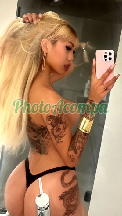 Stella Vasconcellos (19) 98927-3386, trans em Belém