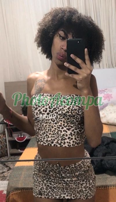 Scarlet (11) 97998-4595, transex em Taboão da Serra