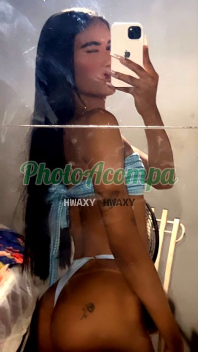 Tayná (81) 98949-0559, trans em Recife