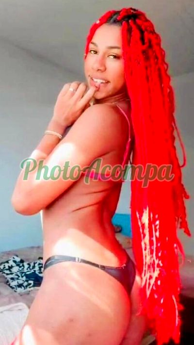 Lohrenna Gabryella (13) 99134-2864, travesti em Santos