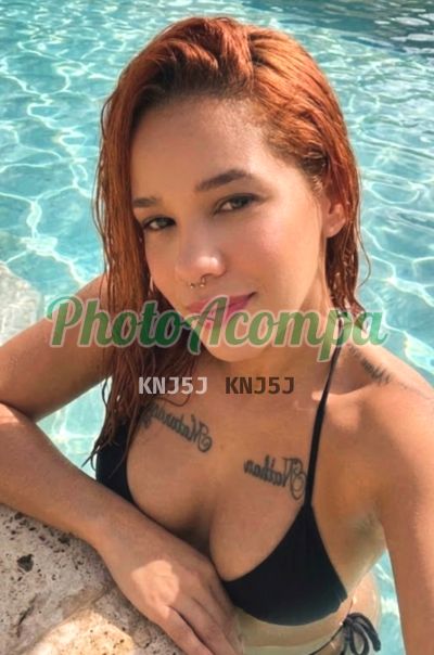 Aysha (12) 99225-2739, escort em Pindamonhangaba