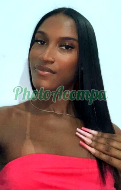 Ingrid (21) 96653-4482, transex em Duque de Caxias