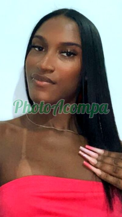 Ingrid (21) 96653-4482, transex em Duque de Caxias