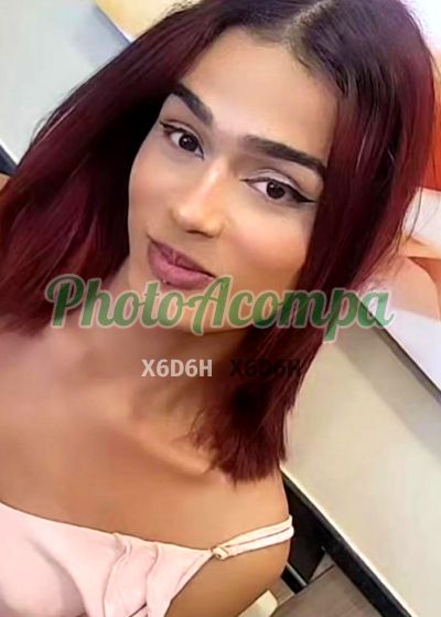 Barbie Trans disponível (11) 93212-3179, transex em Taboão da Serra