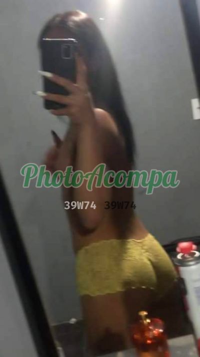 Aninha Sua Novinha (41) 99622-0444, travesti em Curitiba