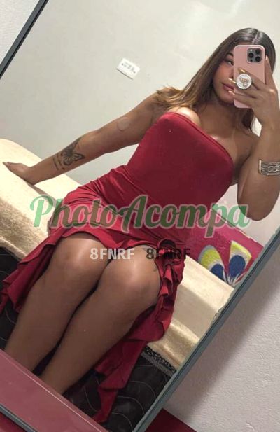 Ninfetinha (81) 99984-9848, trans em Guarulhos