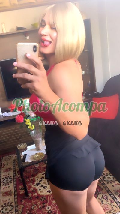 Ayla safadinha, trans em Camboriú