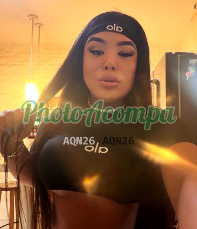 Angelotti (11) 96606-4884, transex em Tatuapé (SP)