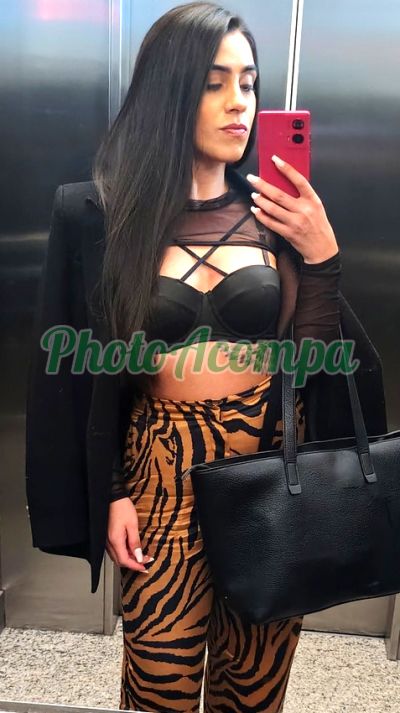 Sophia Abreeu, escort em Curitiba