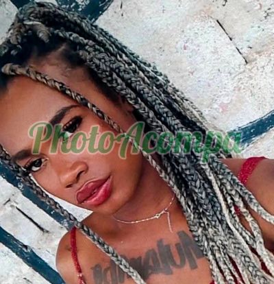 Ayla Mendes (11) 93385-7309, Transex em Franco da Rocha