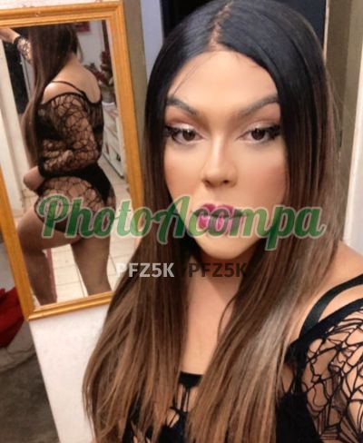 Paola Pasolini (51) 98111-4644, transex em Porto Alegre