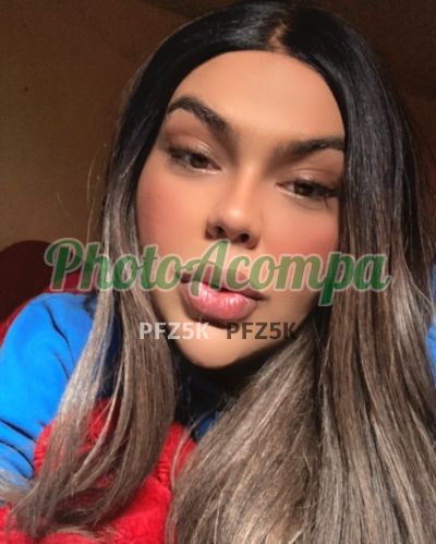 Paola Pasolini (51) 98111-4644, transex em Porto Alegre